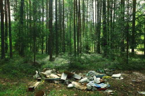 Cleared site with removed vegetation